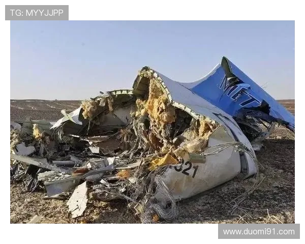 俄罗斯与埃及联合开奖结果今日震撼揭晓